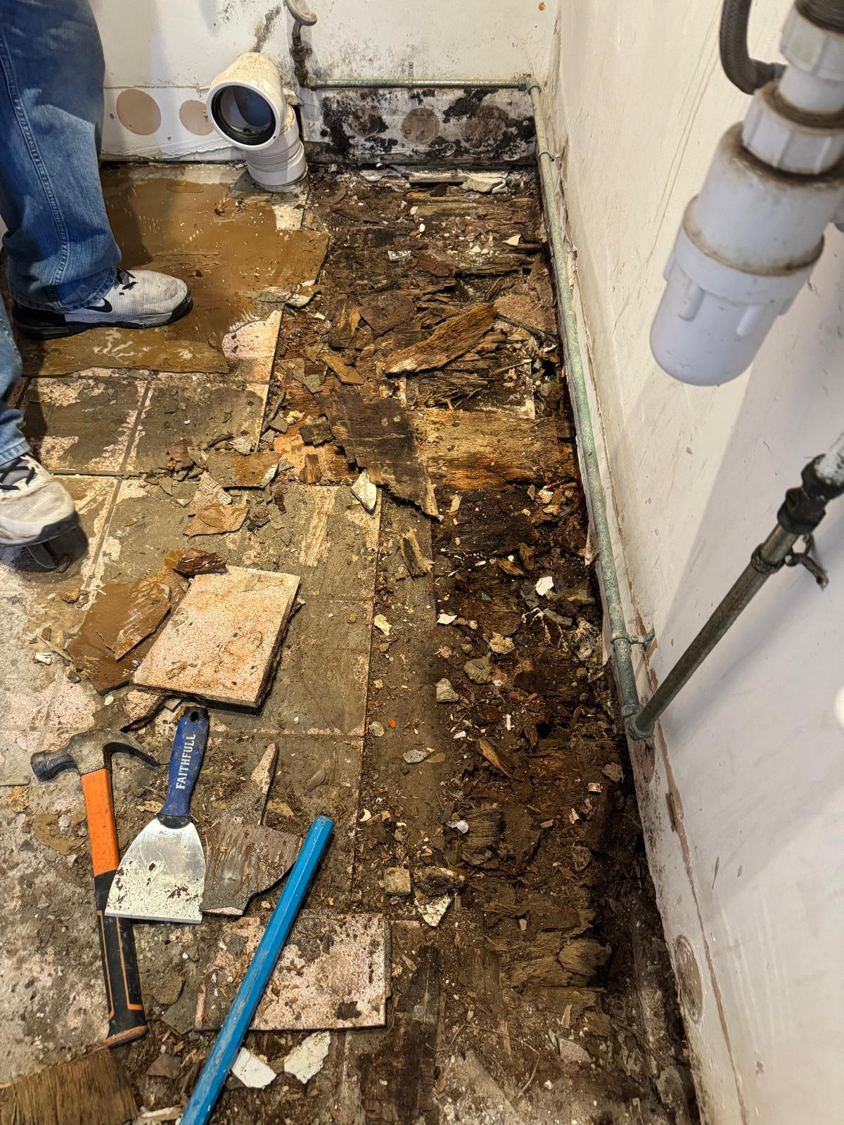 Wavelength Structure